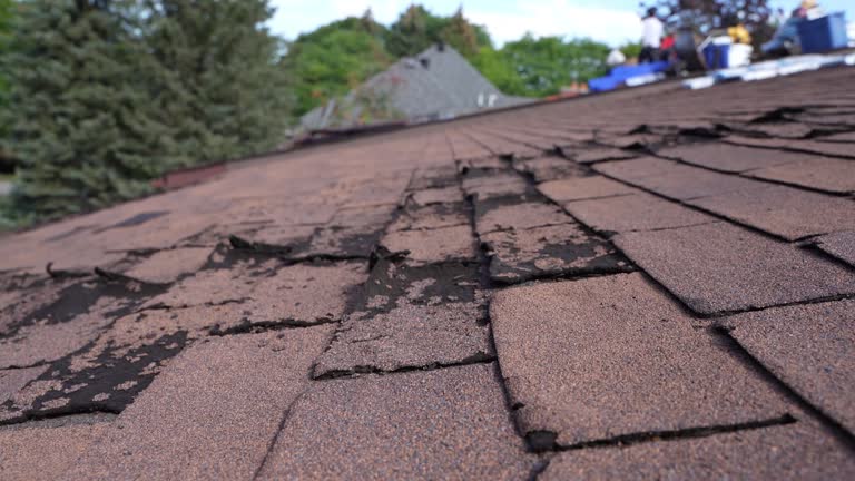 Waterproofing in Brundidge, AL