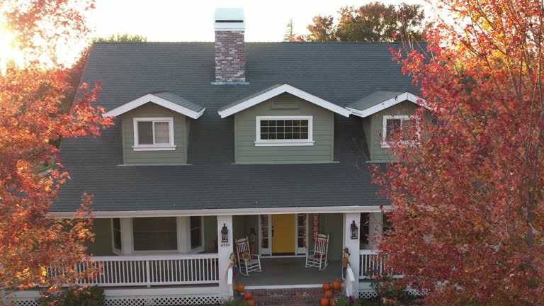 Best Solar Panel Roofing Installation  in Brundidge, AL