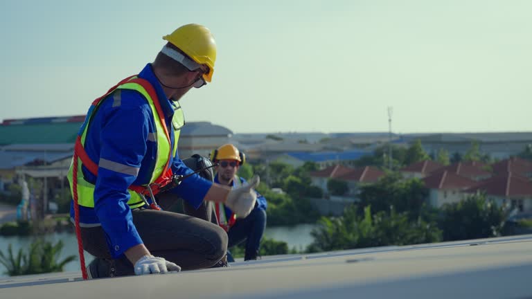Best Metal Roofing Installation  in Brundidge, AL