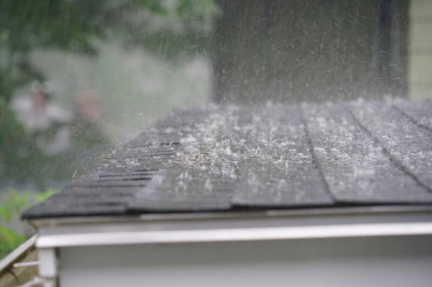 Best Roof Insulation Installation  in Brundidge, AL