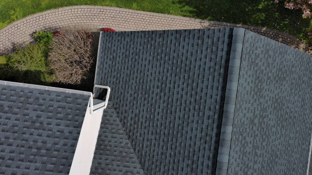 Best Roof Moss and Algae Removal  in Brundidge, AL
