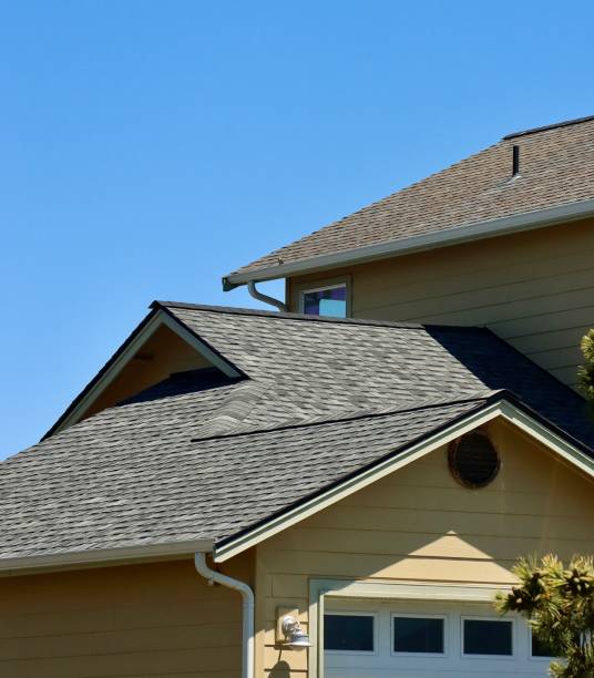 Best Chimney Flashing Repair  in Brundidge, AL